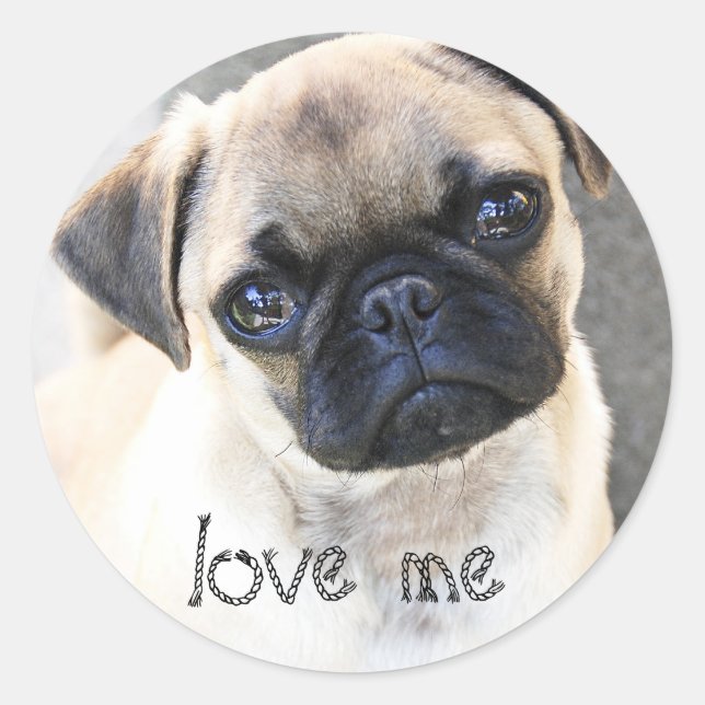 Sticker Rond amour-moi - mignons serres (Devant)