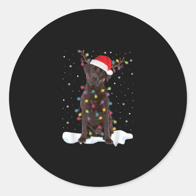 Sticker Rond Amoureux des chiens | Chocolat Labrador Retriever  (Devant)