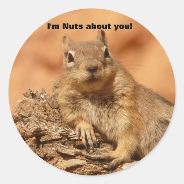 Sticker Rond Amusant écureuil de la Saint-Valentin (Devant)