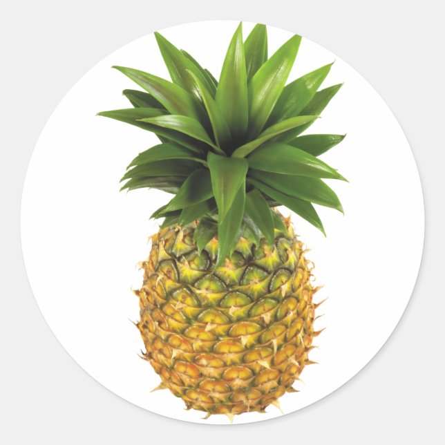 Sticker Rond Ananas (Devant)