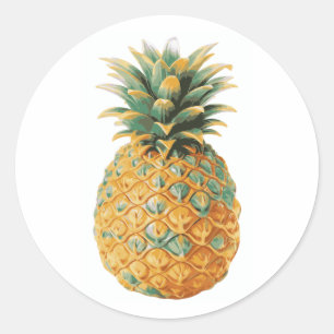 Sticker Rond Ananas tropical hawiien