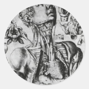 Sticker Rond anatomie du système respiratoire