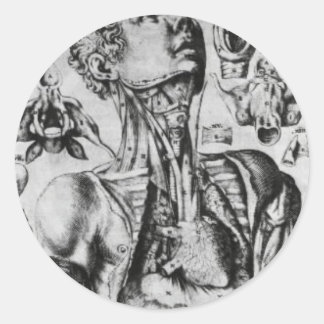 Sticker Rond anatomie du système respiratoire