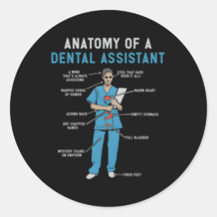 Sticker Rond Anatomie D'Un Assistant Dentaire