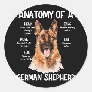 Sticker Rond Anatomie D'Un Berger Allemand Pour Les Amoureux de