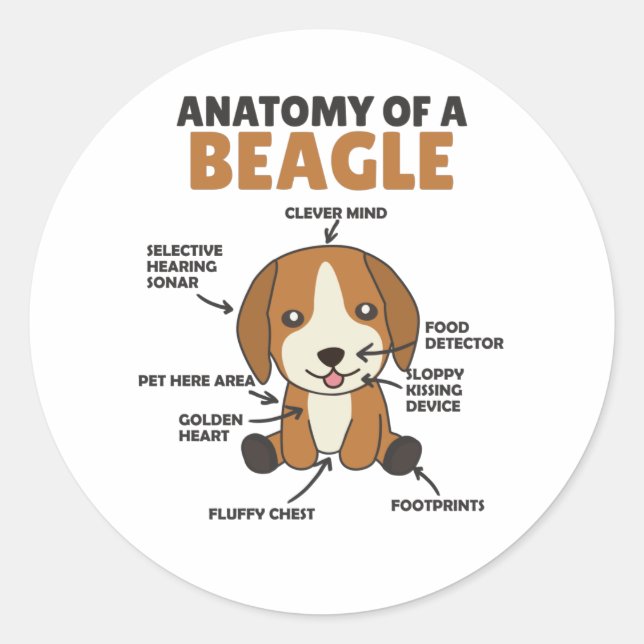 Sticker Rond Anatomie D'Un Chien Beagle Mignonne Chien Chien Ch (Devant)
