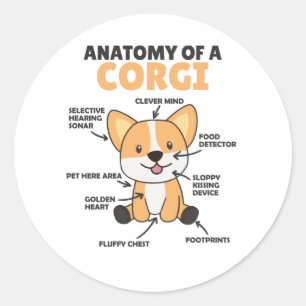 Sticker Rond Anatomie D'Un Corgi Chiens Mignons Chiens Drôle Ch