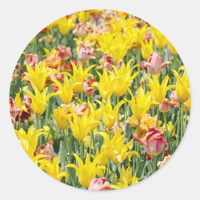 Sticker Rond And Life Goes On  (Devant)