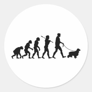 Sticker Rond Anglais Cocker Spaniel