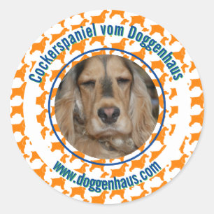 Sticker Rond Anglais Cocker Spaniel minimal moderne