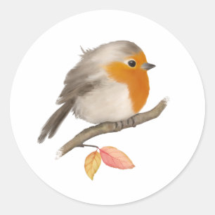 Sticker Rond Anglais Robin Bird