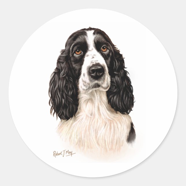 Sticker Rond Anglais Springer Spaniel (Devant)