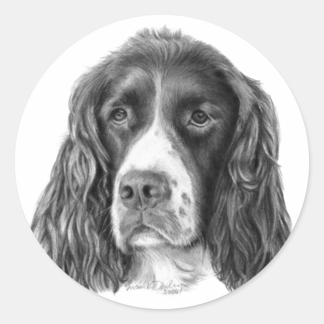 Sticker Rond Anglais Springer Spaniel (Devant)