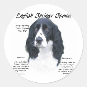 Sticker Rond Anglais Springer Spaniel (noir) Histoire Design