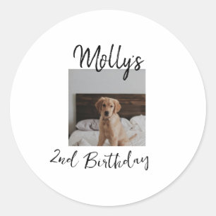 Sticker Rond Animateur chien chat animal photo moderne simple