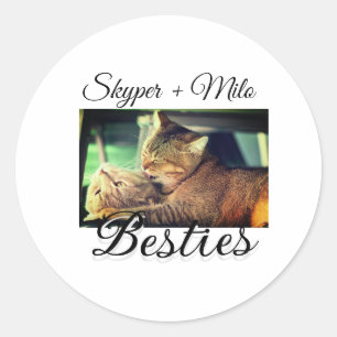 Sticker Rond Animaux de compagnie amis besties ajouter nom anim