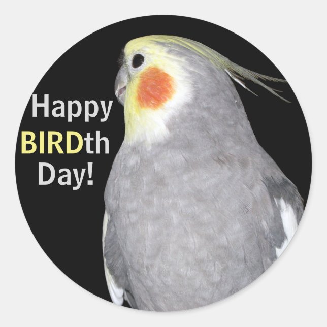 Sticker Rond Animaux de compagnie Cockatiel Photo Joyeux OISEAU (Devant)