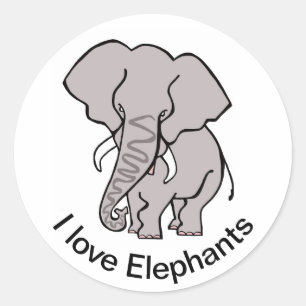 Sticker Rond Animaux sauvages - ELEPHANT africain - Animaux en 