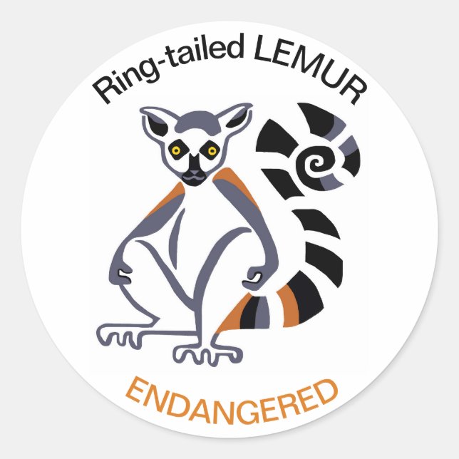 Sticker Rond Animaux sauvages - LEMUR à queue annelée - Nature  (Devant)