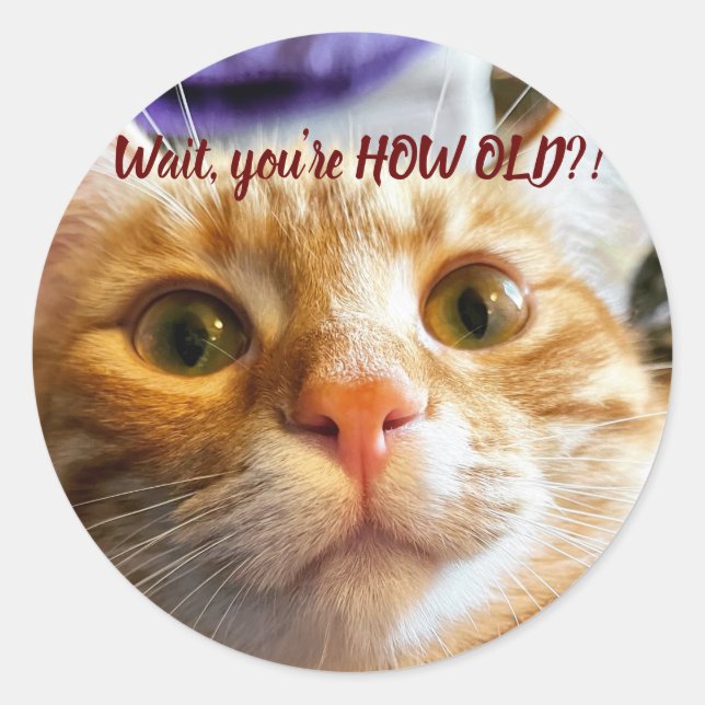 Sticker Rond Anniversaire drôle de chat (Devant)