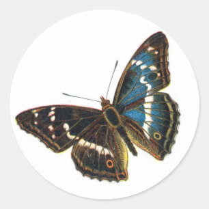 Sticker Rond Apatura iris