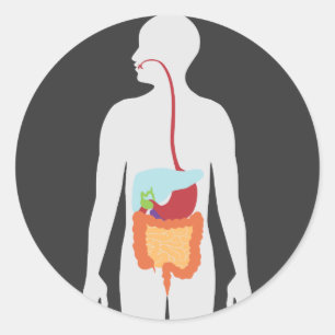 Sticker Rond Appareil digestif