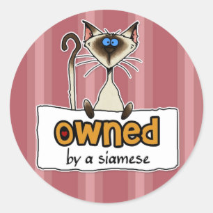 Sticker Rond appartenant à un siamese