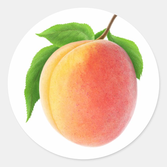 Sticker Rond Apricot frais (Devant)