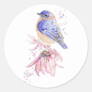 Sticker Rond Aquarelle Bleu Bleu Oiseau de l'Est