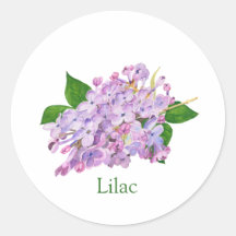 Aquarelle botanique violette lilas