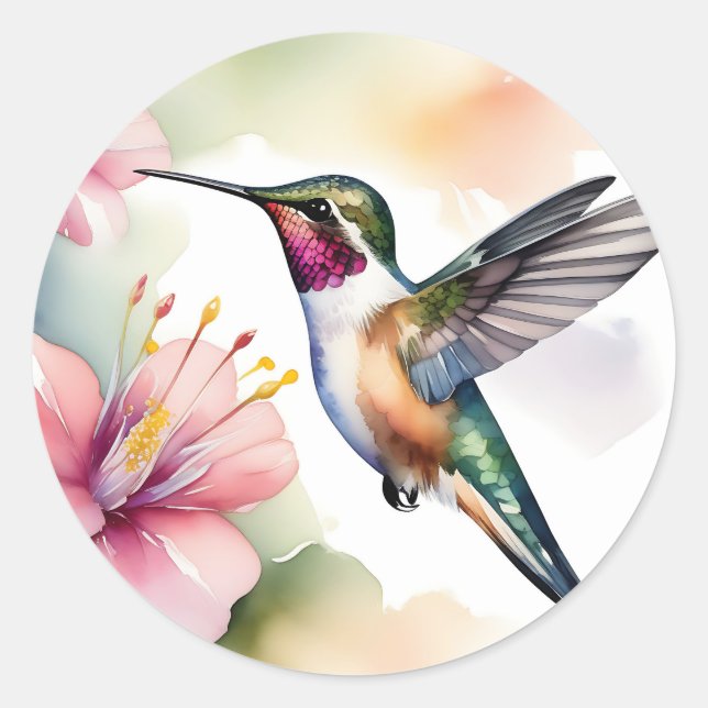 Sticker Rond Aquarelle Colibri Aux Fleurs Roses (Devant)