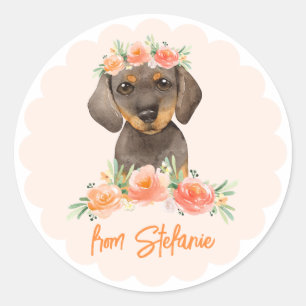 Sticker Rond Aquarelle Dachshund et Fleurs de Pêche Anniversair