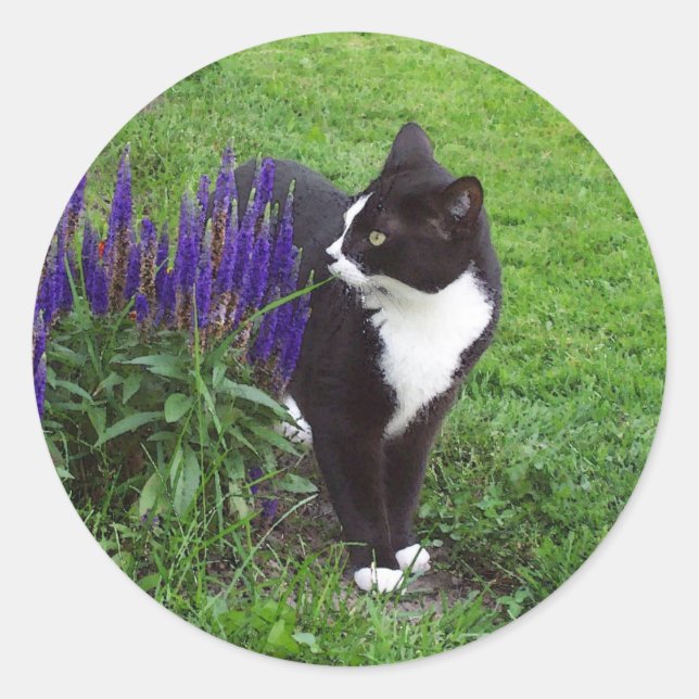 Sticker Rond Aquarelle de chat de Tuxedo (Devant)