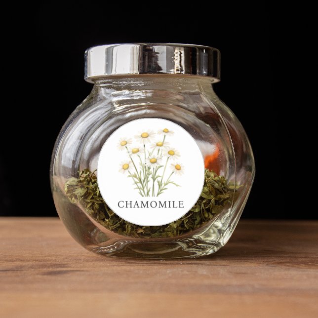 Sticker Rond Aquarelle de l'Herbe Chamomile (Herb Chamomile Watercolor Classic Round Sticker)