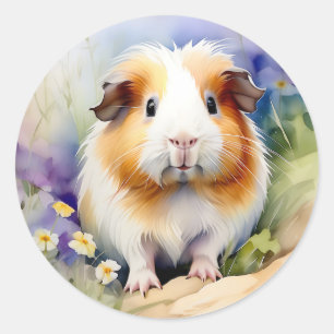 Sticker Rond Aquarelle délicate de porc de Guinée