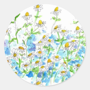 Sticker Rond Aquarelle d'herbe de jardin de marguerite de