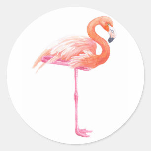 Sticker Rond aquarelle Flamant rose