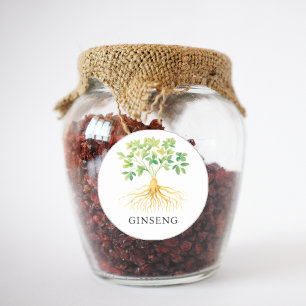 Sticker Rond Aquarelle Herb Ginseng