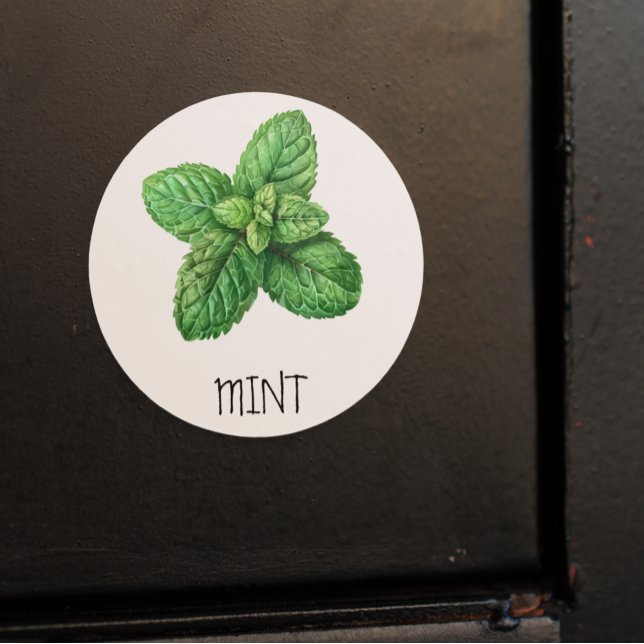 Sticker Rond Aquarelle Herbe Menthe (Créateur téléchargé)