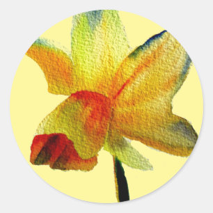Sticker Rond Aquarelle jonquille jaune art Fleur de printemps