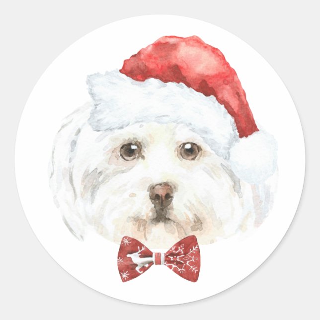 Sticker Rond Aquarelle Maltese à Santa Hat Noël (Devant)