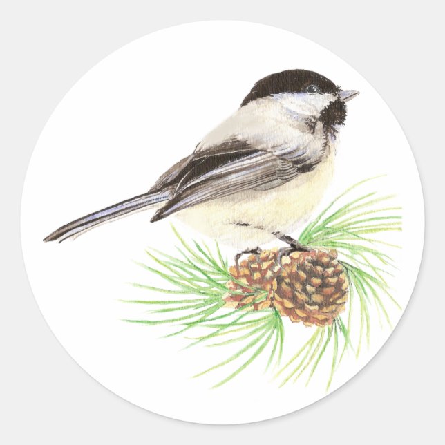 Sticker Rond Aquarelle mignonne Pickadee Bird Pine Tree (Devant)