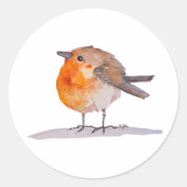 Sticker Rond Aquarelle Robin Anglais