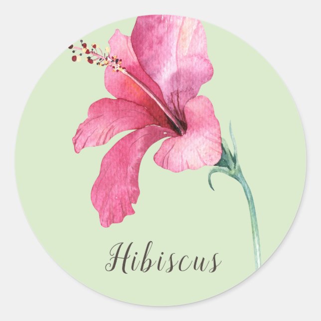 Sticker Rond Aquarelle rose Hibiscus (Devant)