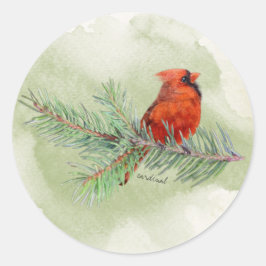 Sticker Rond Aquarelle rustique doux cardinal rouge