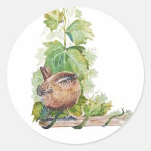 Sticker Rond Aquarelle Troglodyte Oiseau Vignoble Raisins Feuil