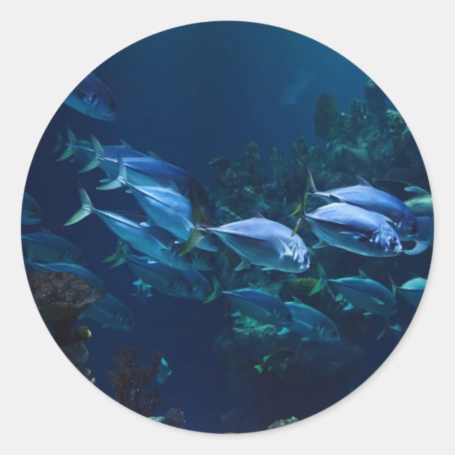 Sticker Rond Aquarium (Devant)