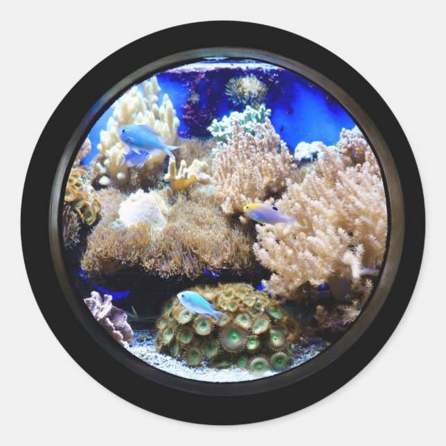 Sticker Rond Aquarium Poissons tropicaux et coraux (Devant)