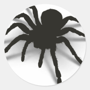 Sticker Rond Araignée 3D