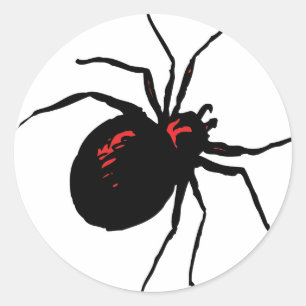 Sticker Rond Araignée mortelle